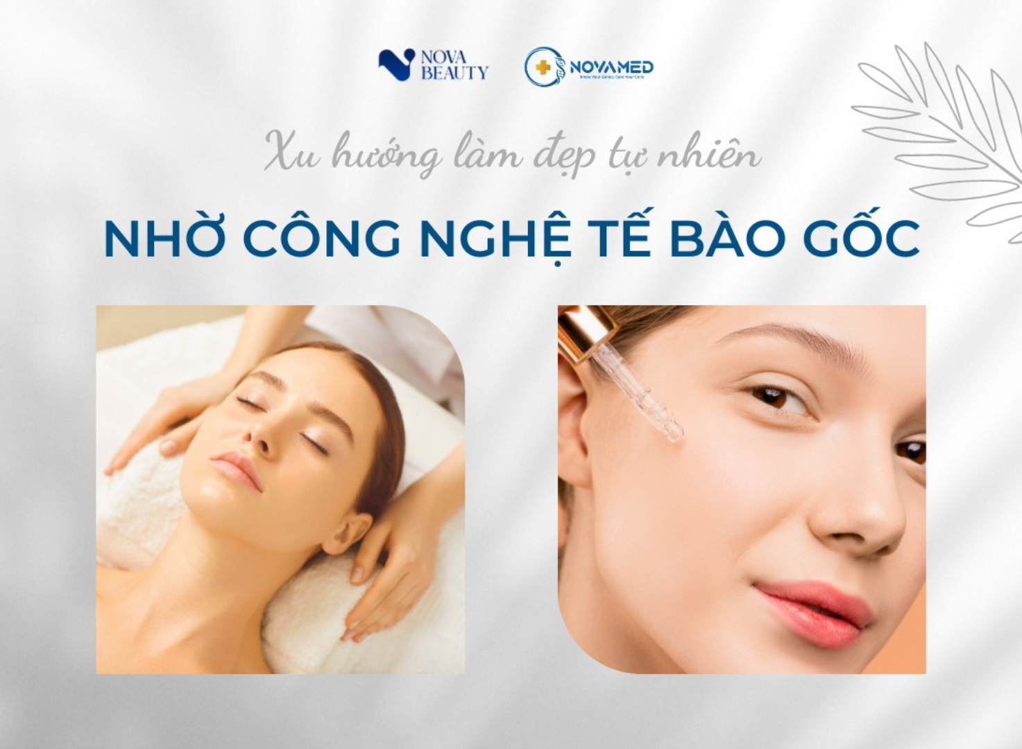 Xu hướng làm đẹp tự nhiên lành tính bằng công nghệ tế bào gốc 