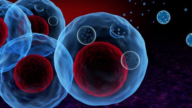 Exosome trong các tế bào được tiết ra môi trường ngoại bào