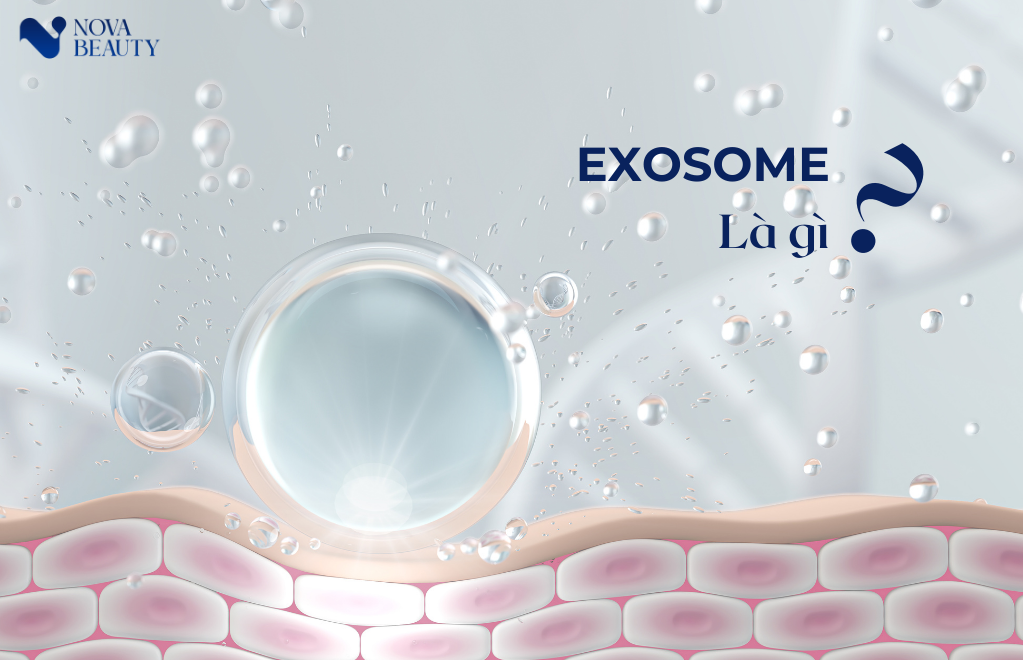exosome phục hồi sụn khớp - exosome là gì?