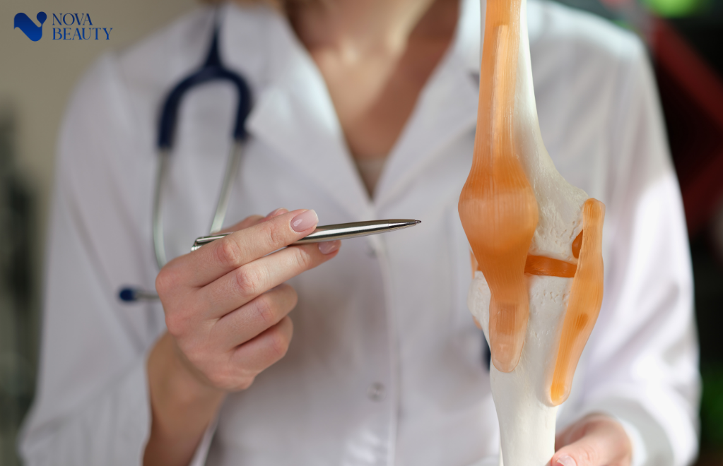 exosome phục hồi sụn khớp - Cơ chế tác động