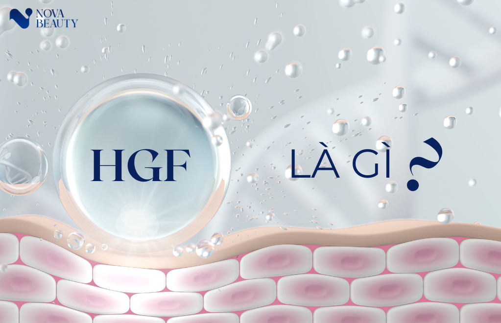 hgf là gì